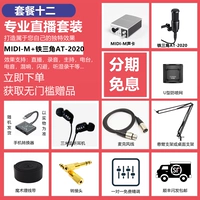 Пакет Tweled M Sound Card+Железный треугольник AT-2020