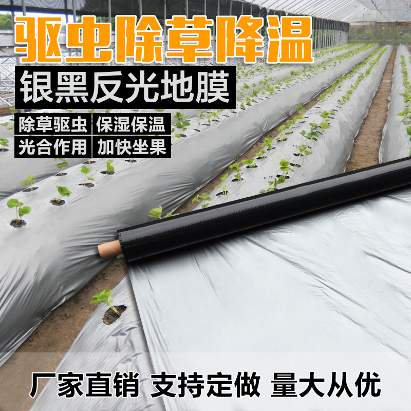 Black and white mulch film silver black two-color reflective weeding agricultural mulching vegetable orchard dustproof thickening moisturizing plastic film