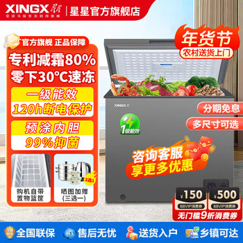 Star Freezer Home Use Frost-Free Small 100/200/300L Horizontal Commercial Grade a Large Refrigeration Freezer