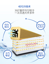 Star freezer BD BC-728GE freezer Commercial large-capacity single-temperature freezer conversion quick-freezing refrigerator