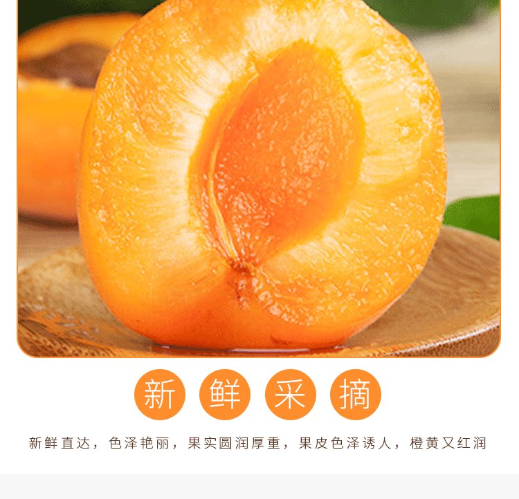 留香岛 山西 金太阳大黄杏 5斤 图11