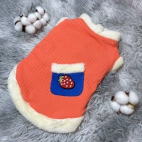 Желтый жилет