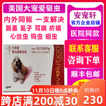 Big pet in vitro deworming dog medium-sized dog internal and external integrated deworming drops 10-20kg selamectin solution