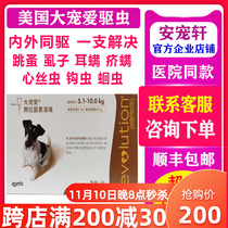 Big pet inside and outside one body deworming dog inside and outside one body drops small dog 5 10 kg selamectin solution