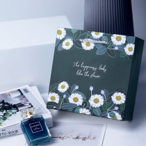 Korean Version Small Daisy Birthday Gift Bag Companion Gift Delicacy and Breeze Send Girlfriend Gift Bag Fresh handbag