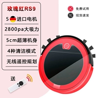 Официальный стандарт+Black Basic Edition