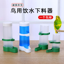 Automatic drinking fountain for Starling Jade Bird Parrot Bird small large automatic water feeding bird cage accessories