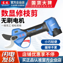 Dongcheng 16V electric pruning shears rechargeable garden fruit tree pruning thick tree pruning branch lithium electric scissors pruning machine