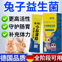 Rabbit probiotic powder small pet rabbit special gastrointestinal nutrition product for dwarf rabbit aids digestion and loose stools