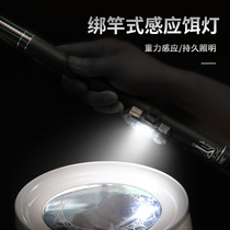 Fishing bait light Induction charging night fishing bait light Fishing rod light Bait light Hanging bait light USB automatic bait light