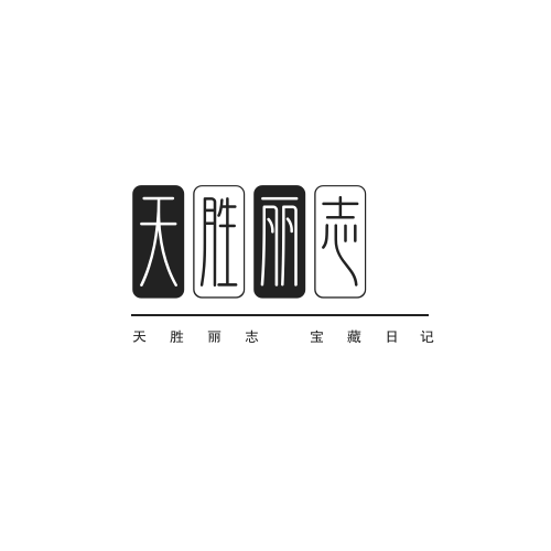 天胜丽志 宝藏日记