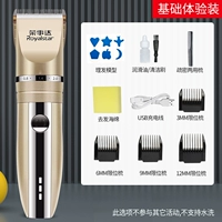 Основной опыт