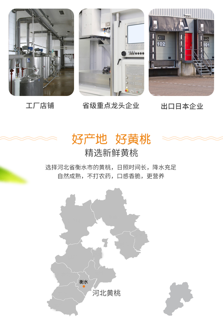 出口企业 福源门 黄桃/白桃/雪梨糖水罐头 425g*4罐 图3