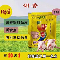 Peptide balsamic sweet fishing small medicine too sweet and savory feed additive aquatic bait fruit taste to savory crucian carp carp