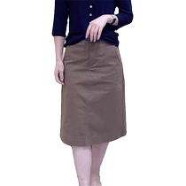 European style skirt for women spring and autumn new style high-waisted slim A-line skirt pear-shaped figure covering the crotch mid-length casual skirt