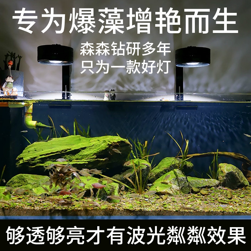 森森鱼缸灯爆燥灯原生溪流缸筒灯全光谱水草灯植物灯金鱼珊瑚灯