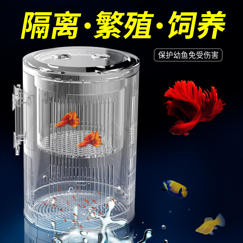 多功能孵化盒鱼缸水族箱悬浮式隔离盒幼鱼繁殖饲养盒鱼宝宝孵化器