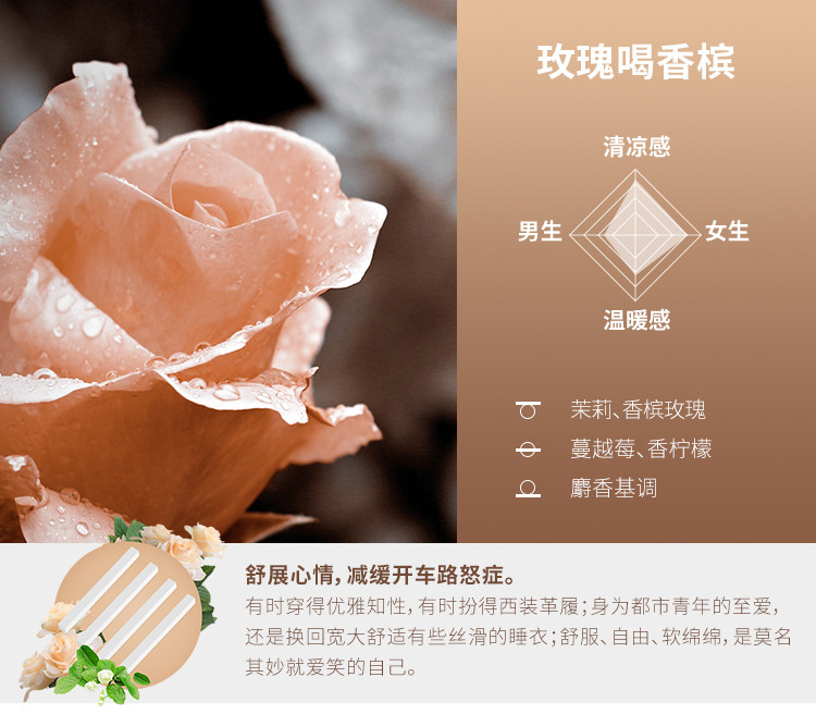 DAILY LAB 小金條車載香薰隨身香氛替換組合香錠補充裝出風口 4片/盒 琥珀粉胡椒 8款選