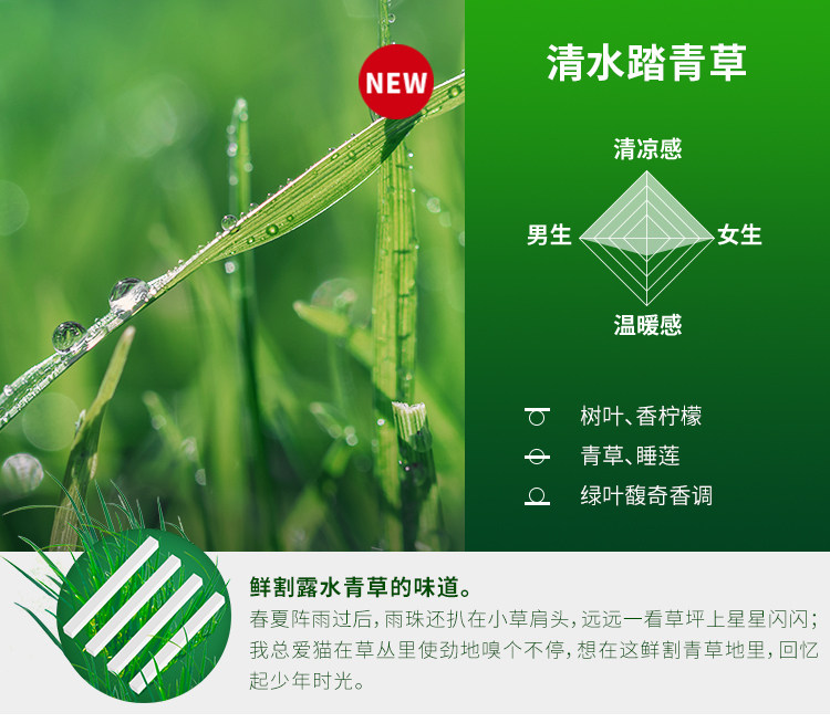 DAILY LAB 小金條車載香薰隨身香氛替換組合香錠補充裝出風口 4片/盒 琥珀粉胡椒 8款選