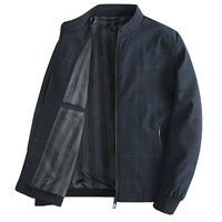 L3127 Тибетский Цин