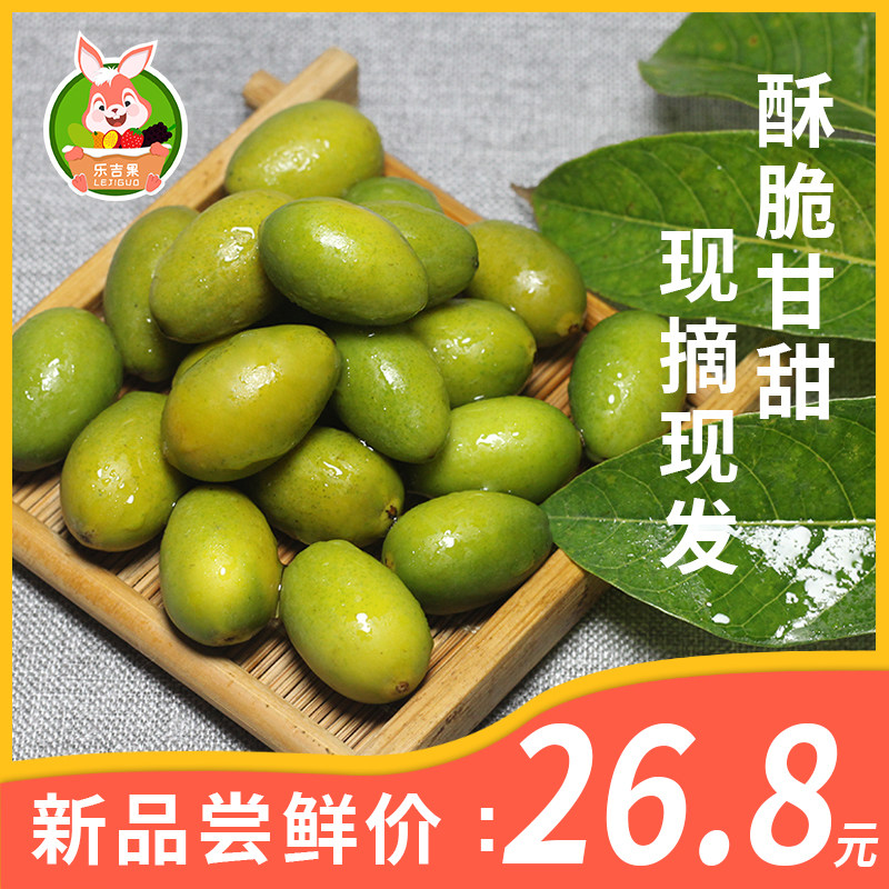 500 grams of Chaoshan special sweet olives are now picked and sprouted beans, seeds of sweet seeds, citrus olives, special sweet, residue-free sweet olives