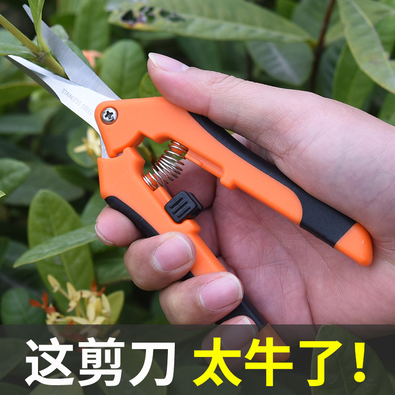 Household scissors branch shears handmade small flower branch shears fruit tree pruning scissors gardening labor-saving flower branch shears household