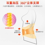 YASCO Поясничная поясничная поясничная плита, выступающая поясничным мышцам штамм пояснично