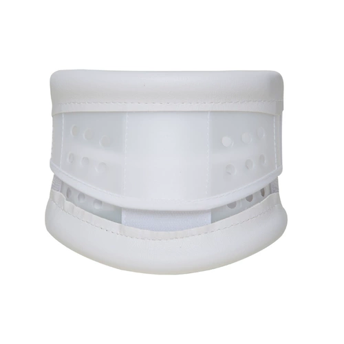 Шейки матки шейки матки