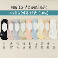 【5 Dual-Pack】 Выберите Color (оставьте сообщение и примечайте нам)