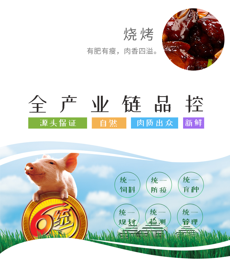 龙大肉食 新鲜排酸猪肉培根 480g 图5