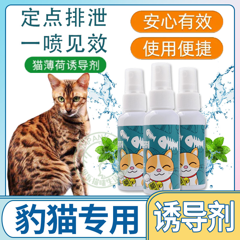 Leopard cat special to appease cat interaction play kittens happy water cat mint spray inducing agent perfume on top