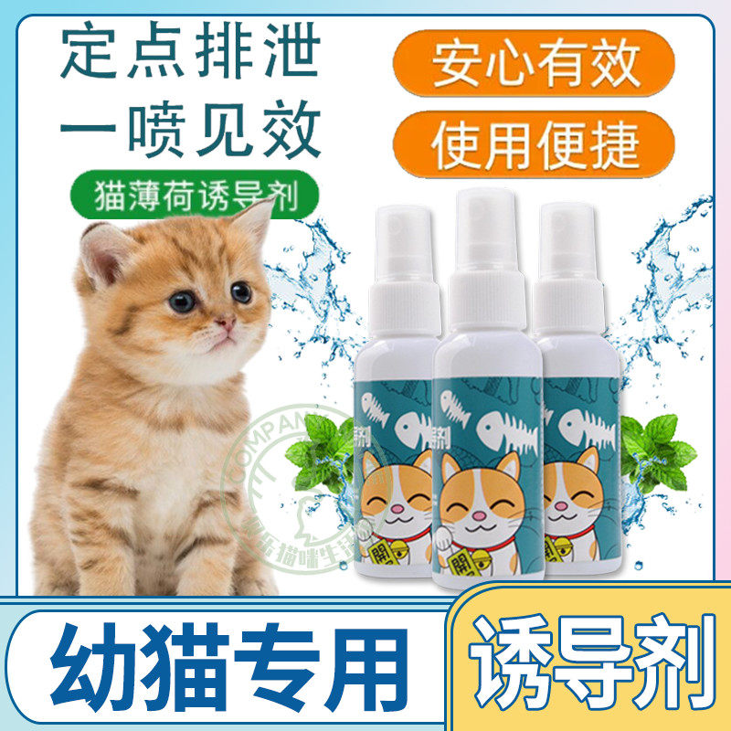 Young Cat Special Toys Attract Self-Hi Interactive Play Kitty Pleasure Water Cat Mint Spray Inducers Perfume