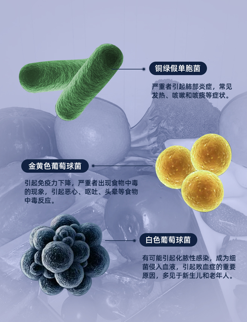 世净 舌尖卫士 臭氧杀菌除臭除味器 永久无需耗材 图3