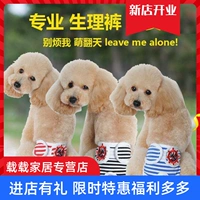 Собачья физиологические штаны Тедди Корги Сука лето менструальные санитарные салфетки Противоречивающие