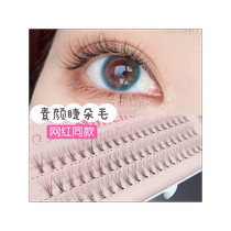 No-makeup hairy single-cluster false eyelashes fairy supernatural simulation nude makeup C curl base grafting internet celebrity same style