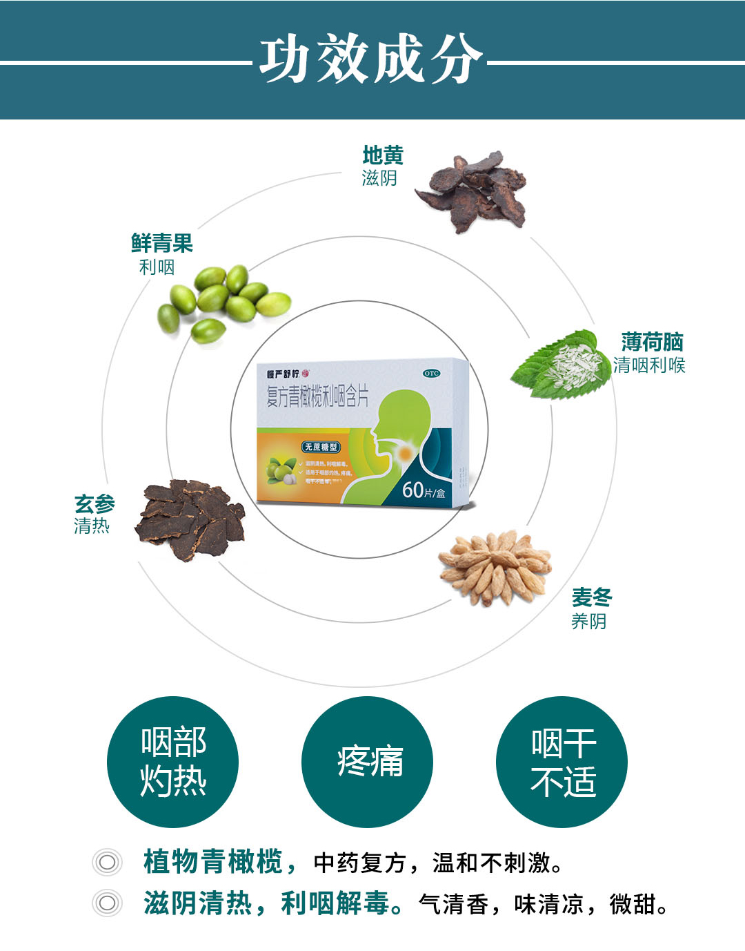 慢严舒柠 无糖升级配方 青橄榄润喉含片 60片 缓解咽干疼痛 滋阴清热 图6