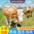 创鑫丝网护栏网厂