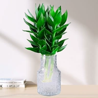 3 бамбуковых дерева Гуаньинь (прозрачные ледниковые бутылки) + питательный раствор