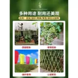 Бамбуко -полюсный овощной сад разместит овощи огурцы томатные бобовые рог, бамбуковый забор, маленький бамбук, бамбуковый полюс, скалолазание скалолаза