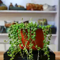 Четки из круглых бусин, 15 см, 10 см