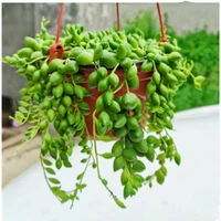 Для влюбленных, 15см, 10 см