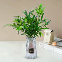 Прозрачное средство от комаров, питательный раствор, 10 шт