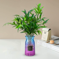 10 больших бамбуковых кипарисов от комаров + красочная МИНИ-бутылка + кристальная грязь + питательный раствор