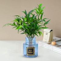 10 больших репеллентов от комаров из бамбука и кипариса + открытая синяя мини-бутылка + кристальная грязь + жидкость