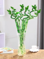 Браслет с одной бусиной, 55-60см