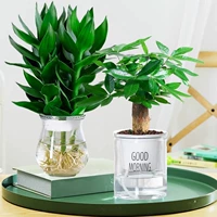 [Богатая комбинация] Бамбук Гуаньян (зимнее дыни)+дерево удаки (ранняя ручка) Отправить питательное раствор