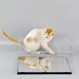 Прозрачный стенд из оргстекла, глина, кукла, пылезащитная крышка, фигурка, коробка для хранения, 40 см