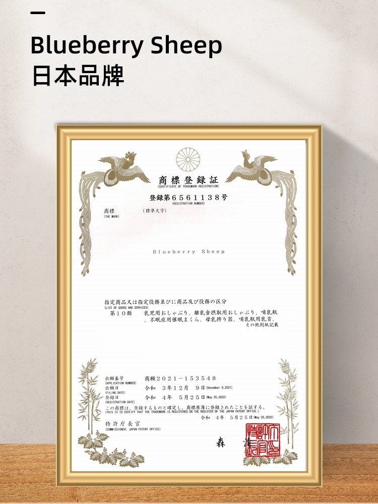 Postpartum Abdominal Binder for Natural Birth, Special for Pregnant Women after Caesarean Section, Waist Shaping Postpartum Corset, Body Restraint Belt for Spring and Summer