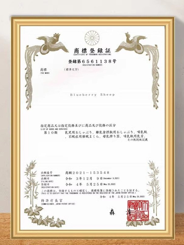 Nipple Retraction Corrector for Girls with Developmental Defects, Short Flat Recessed Nipples, Suction to Pull Out Nipples, Breastfeeding for Pregnant Women, Nipple Traction