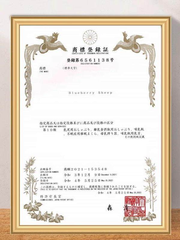 Nipple Retraction Corrector for Girls, Flat Nipple Short Traction Device, Postpartum Breastfeeding Tool for Women with Inverted Nipples